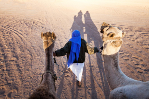 Camel Trekking Tour Packages